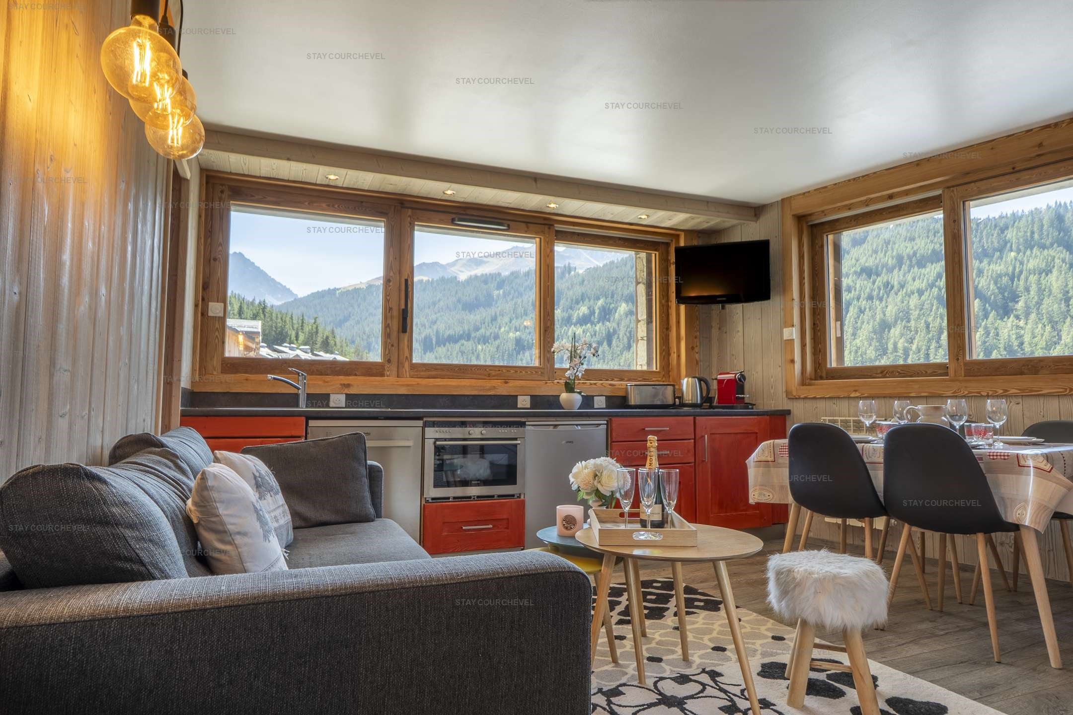 Appartement skis aux pieds avec vue montagne